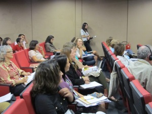 Participantes contribuem com as discussões no seminário. Crédito: Rodrigo Borges Delfim